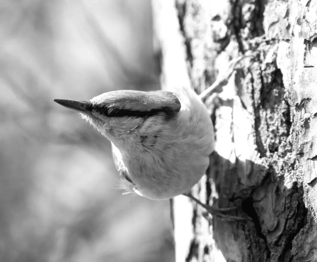П’ятниця в Києві тішитиме теплом, але вихідні принесуть несподіване похолодання