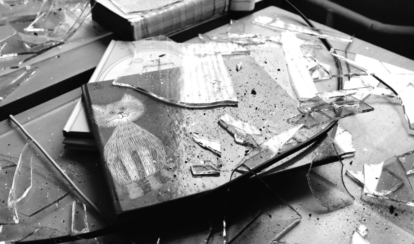 Таємничий напад з неба: російський дрон пошкодив Національну бібліотеку для дітей України