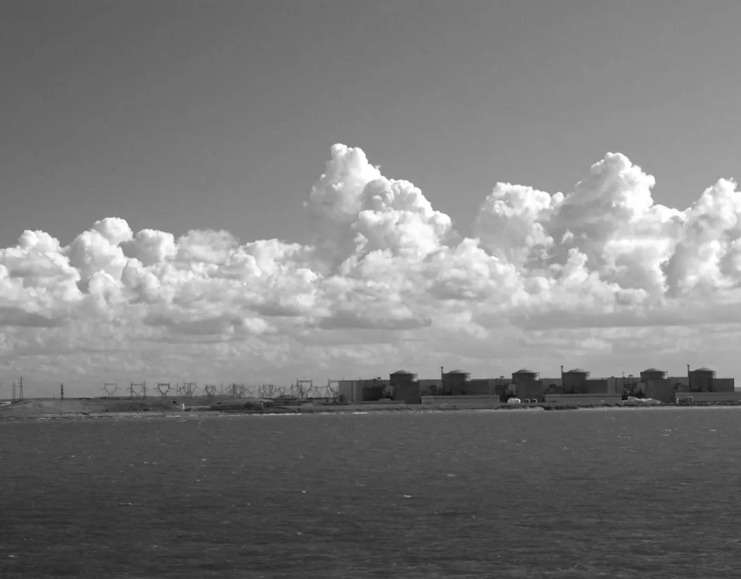 Медузи атакують: як невидана хвиля загрожує одній з найбільших АЕС Європи