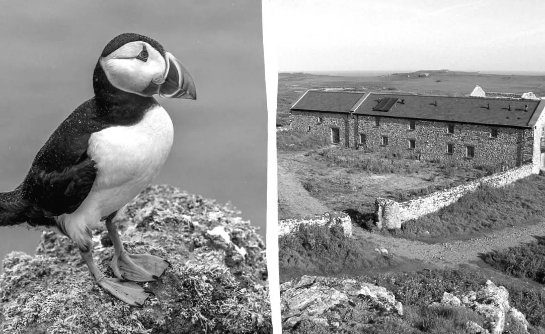 У Британії відкрили “роботу мрії” для всіх – але є один несподіваний нюанс