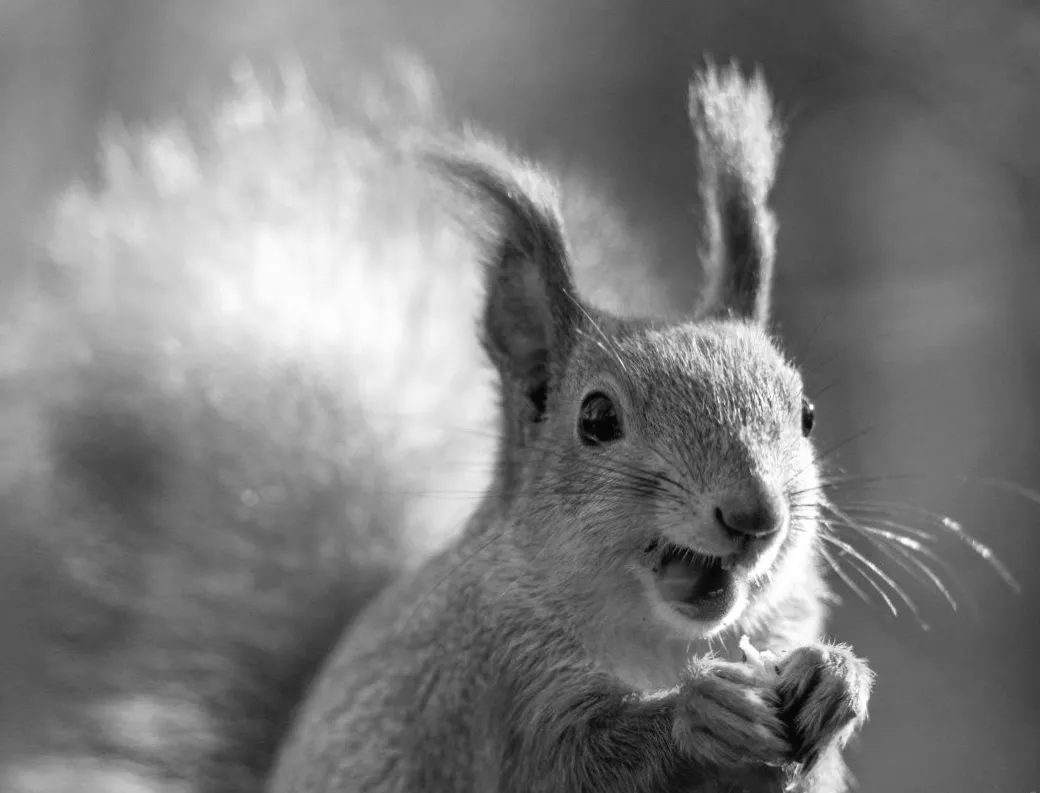 Київ готується до несподіваного теплового бонусу: що чекати найближчі п’ять днів (графік)