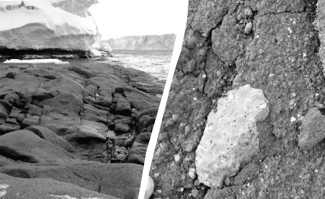 В Антарктиді виявили загадкові рожеві камені: що приховує крижаний континент?