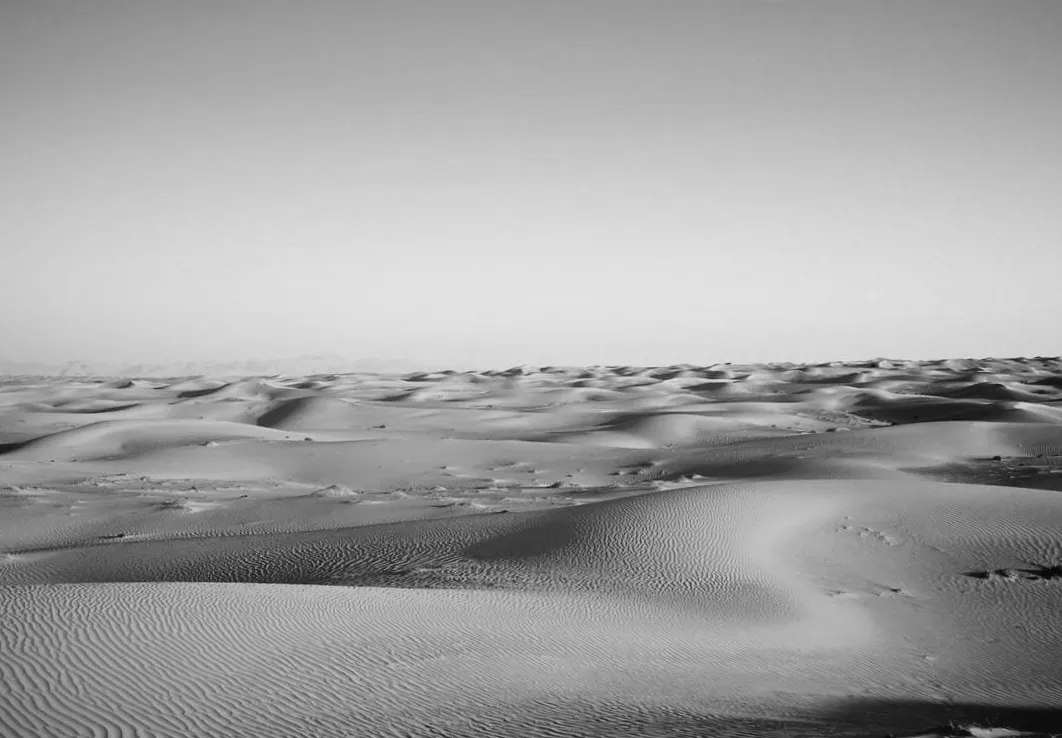 Сахара мільйони років тому: таємниці зеленої пустелі розкрито вченими