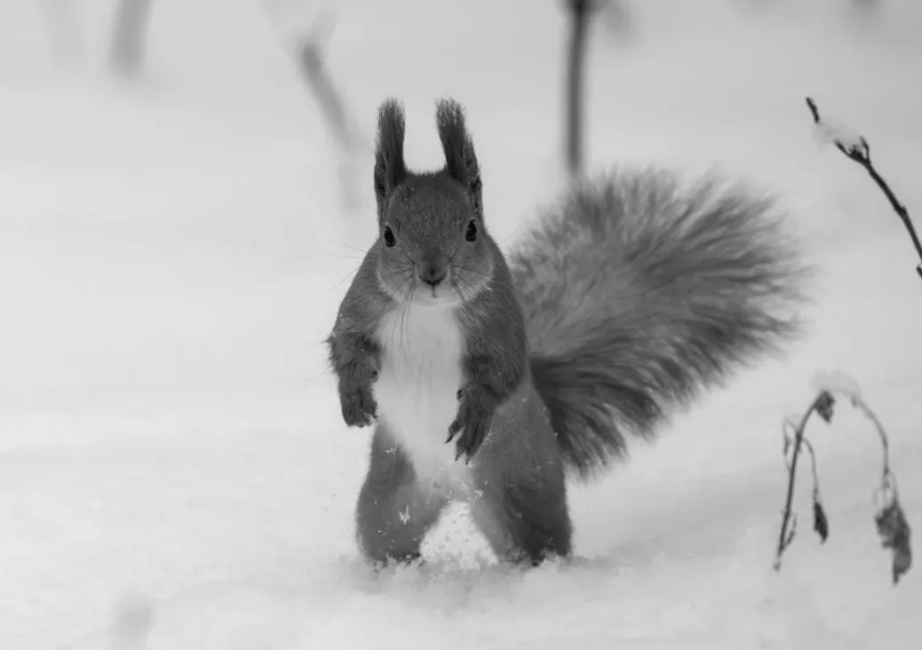Найхолодніший день тижня сьогодні в Києві