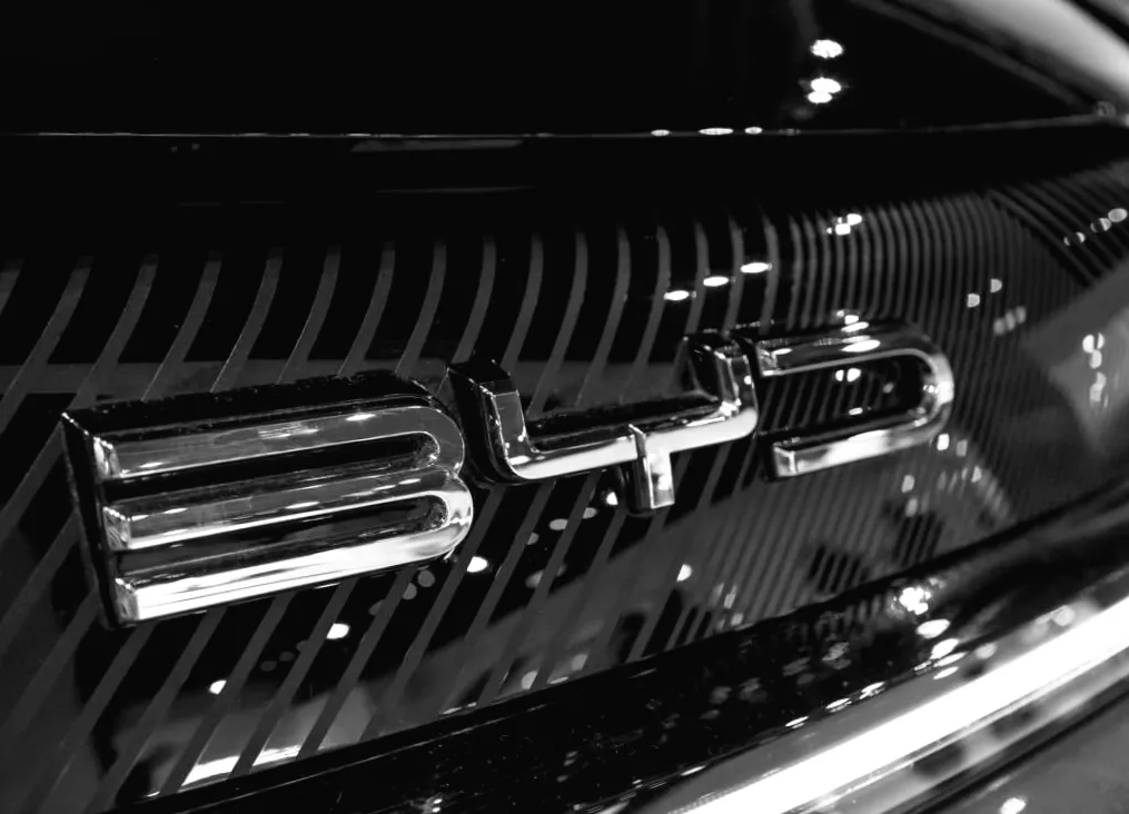 Електромобілі, які завойовують український ринок: який бренд лідирує?