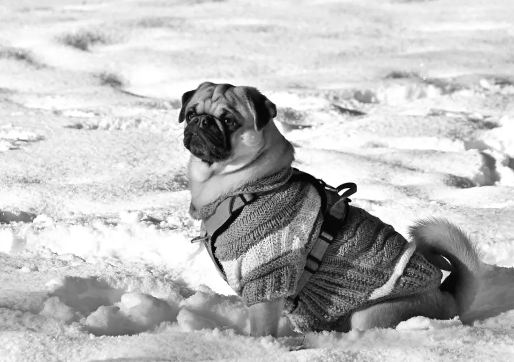 В Україну нарешті прийшло тепло, але зима не здається без бою