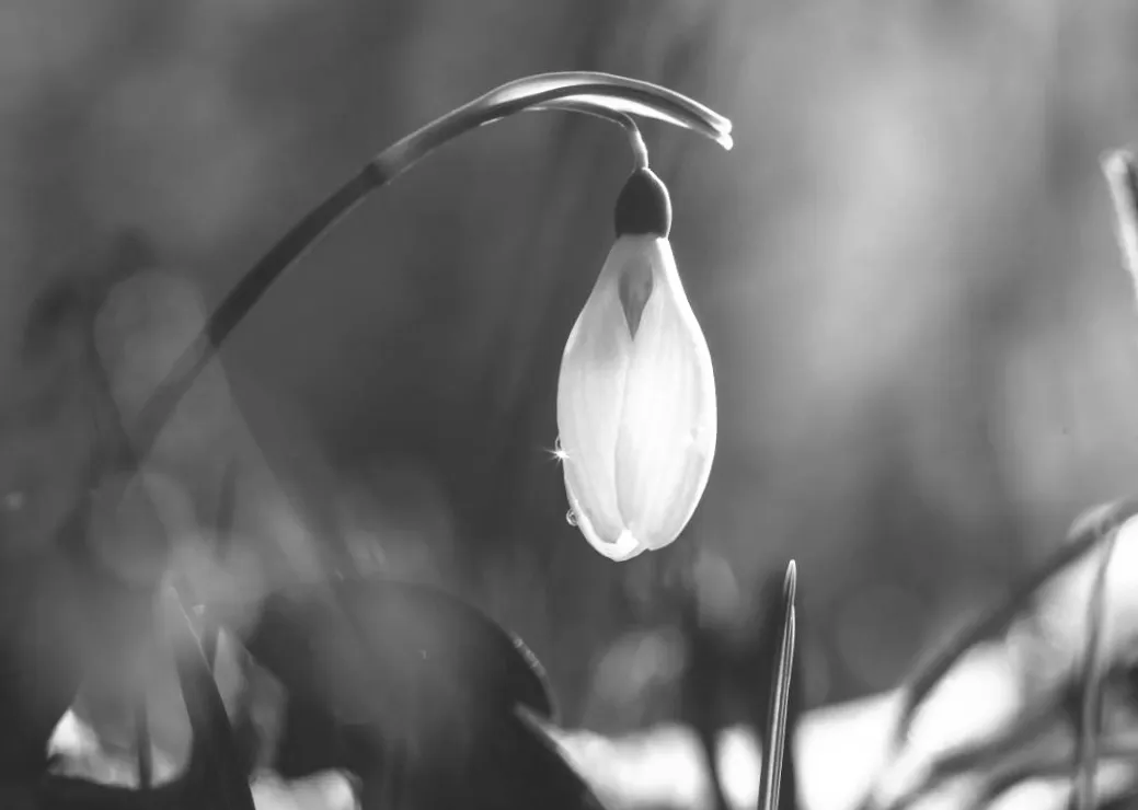 Незвичайне тепло: перед вихідними сонце підніме температуру до +17° по всій Україні