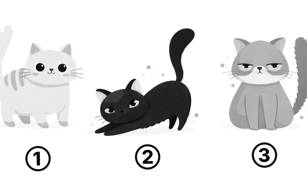 Тест на кошенят: картинка розкриє ваші думки близьких