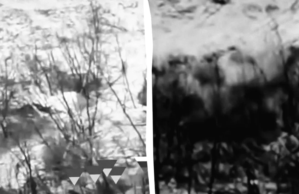 Поблизу Покровська: як дрони допомогли українським військовим вирватися з полону — розповідь 7 корпусу