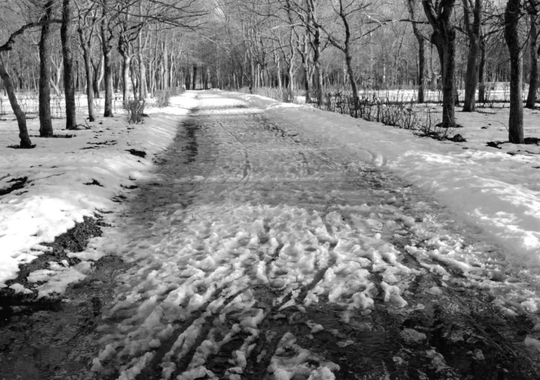 Вихідні в Україні: морозів не буде, але очікує інша несподіванка.