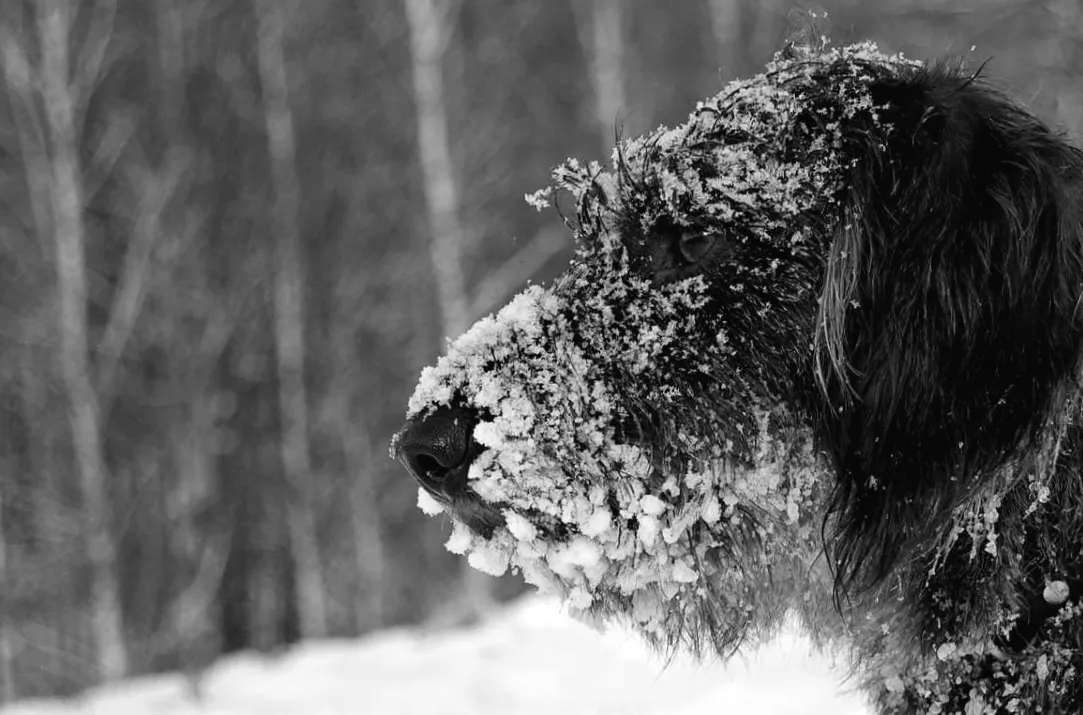 В Україні тиждень розпочнеться з морозу до 10 градусів