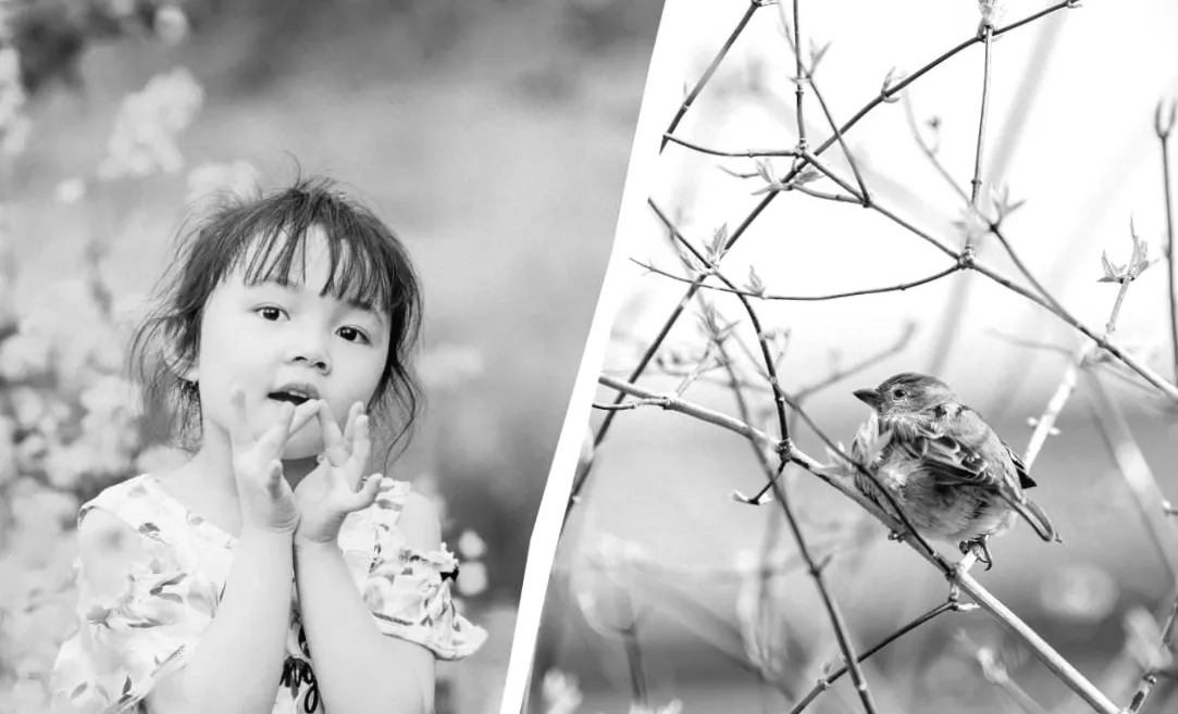 7 березня 2026: Таємниці та заборони цього дня, які варто знати кожному дому