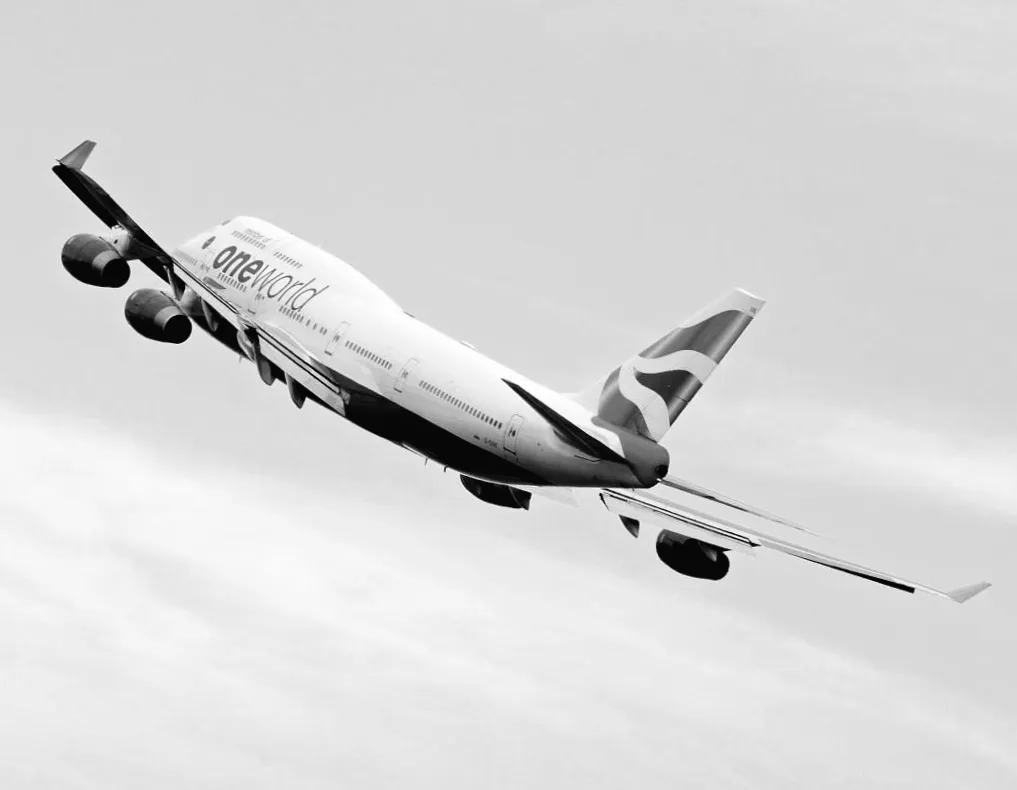 Boeing перетворили на картопляний літак: навіщо 9 тонн овочів на борту?