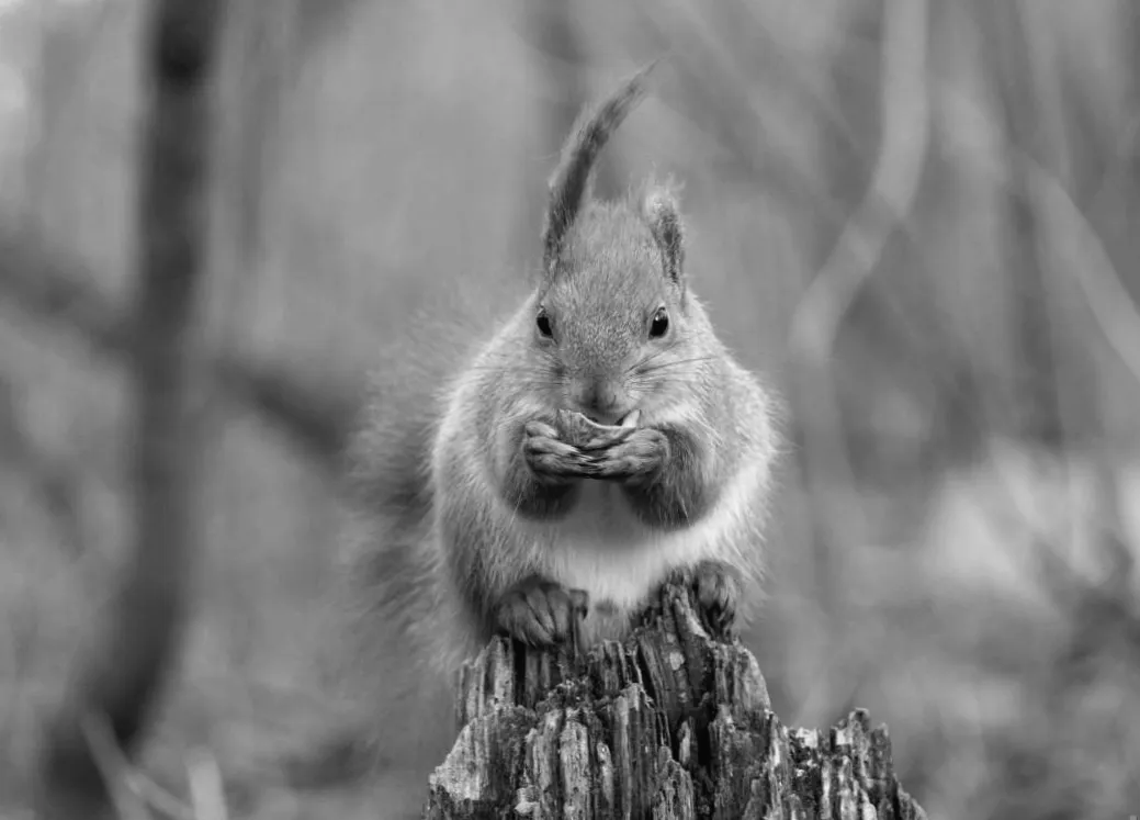 7 березня: Україну чекає весняне потепління!