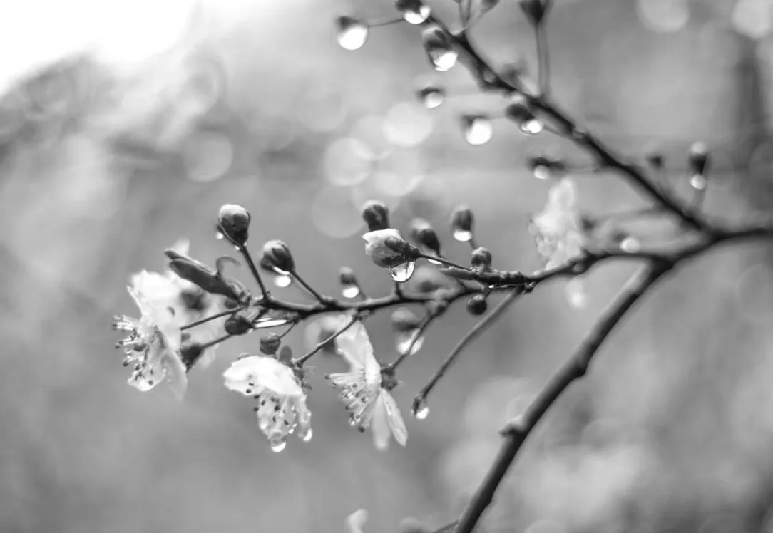 Після тепла - настане негода: синоптик озвучив прогноз змін погоди в Україні