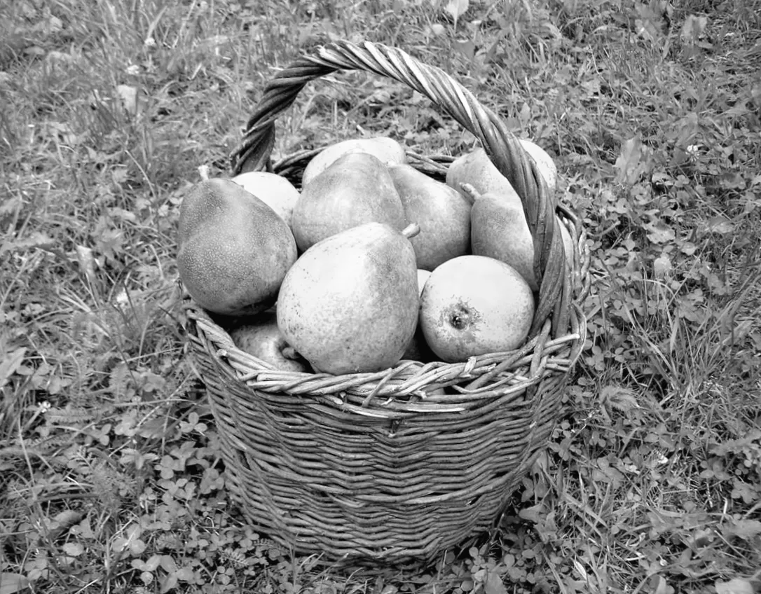 Фрукт, який таємно зміцнює пам’ять і кишківник: дієтологи розкрили несподіваний вибір замість бананів