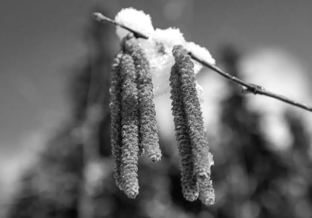 Синоптик визначив точну дату закінчення морозів в Україні.