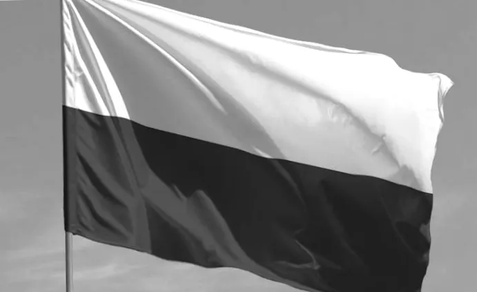 ЗМІ: Невідомий дрон із можливістю збору секретної інформації впав на польську базу