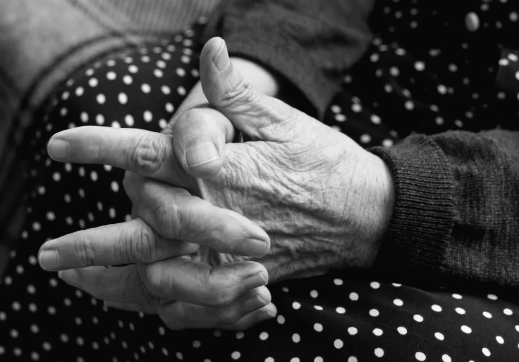 Хто довше живе - м'ясоїди чи вегетаріанці? Учені розкрили таємницю до 100 років.