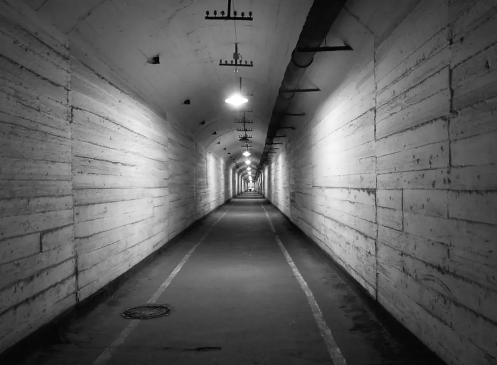 Світові лідери ховають свої таємниці у розкішних бункерах на випадок апокаліпсису — ЗМІ