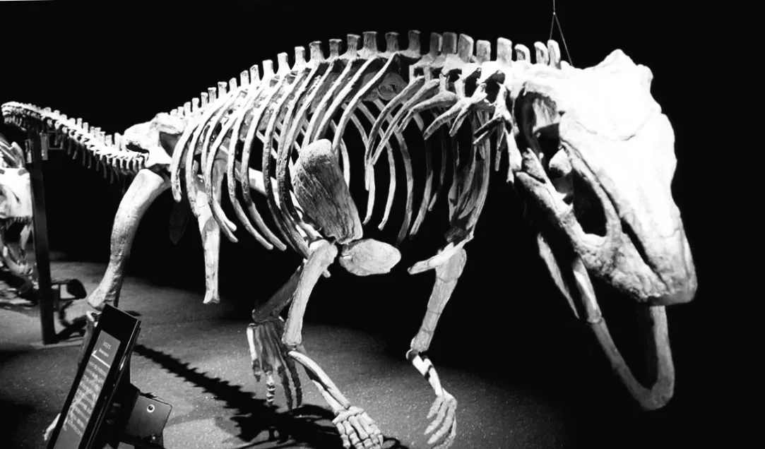 Вчені відкопали дивовижного двоногого крокодила з глибин минулого