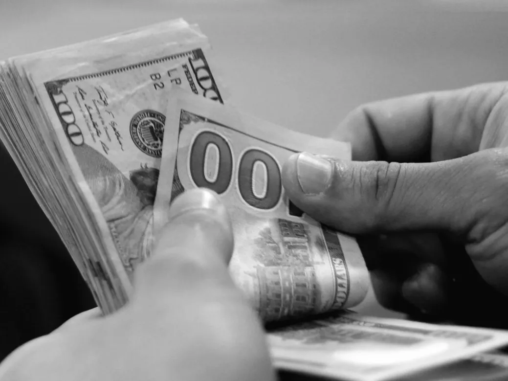 Не лише долар і євро: експерти відкрили нові способи заробітку для українців