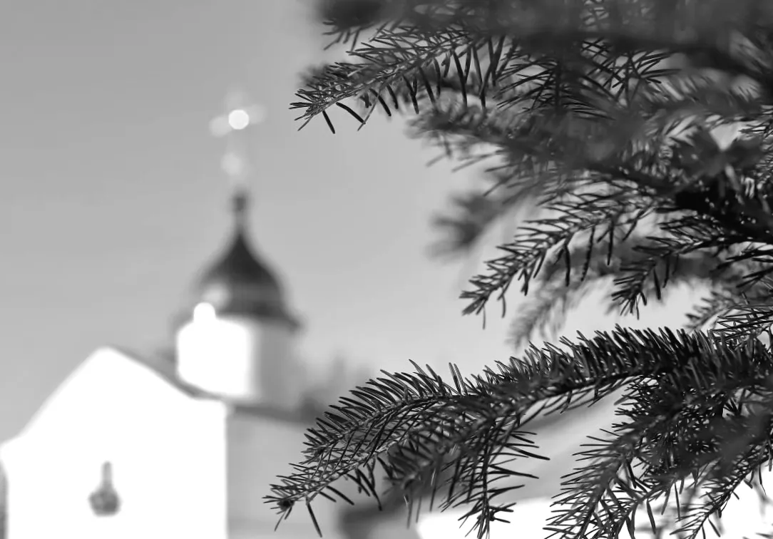 14 лютого: Таємниці церковного календаря та кого сьогодні не можна забути