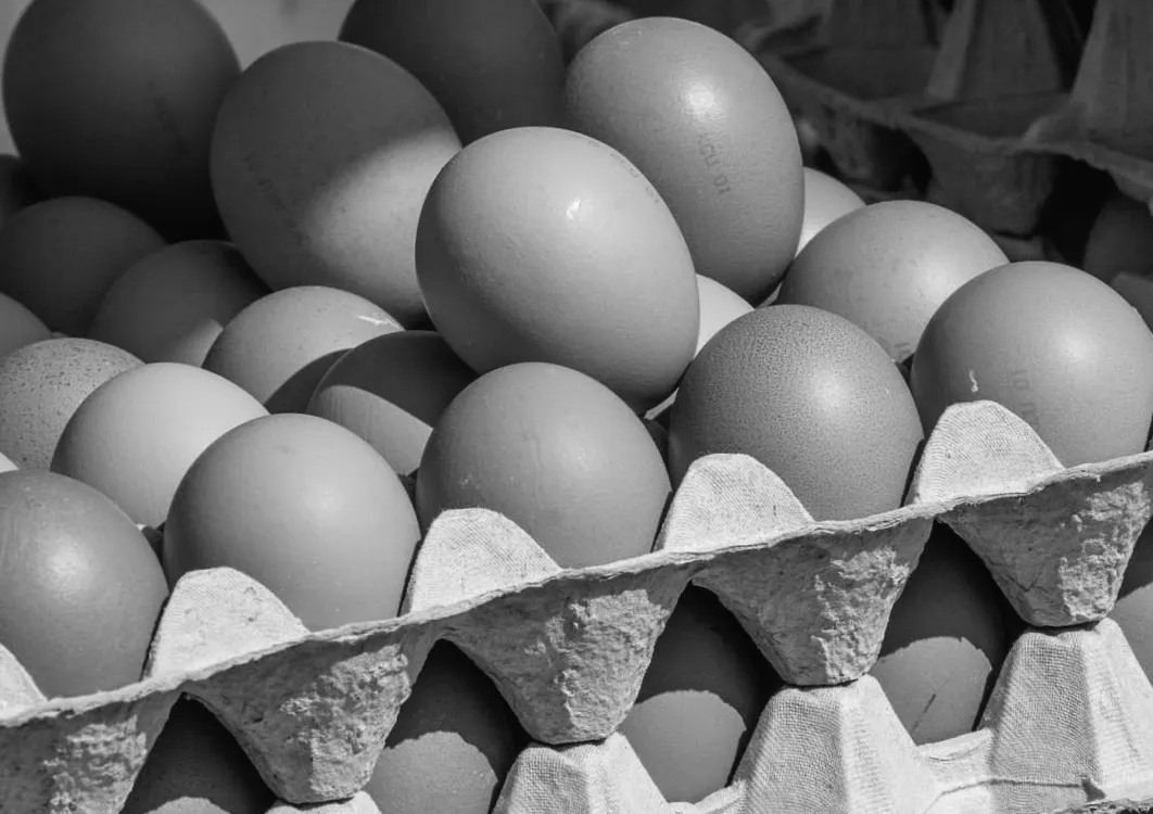 Кінець терміну придатності: чи можна ще їсти яйця, що давно в холодильнику?