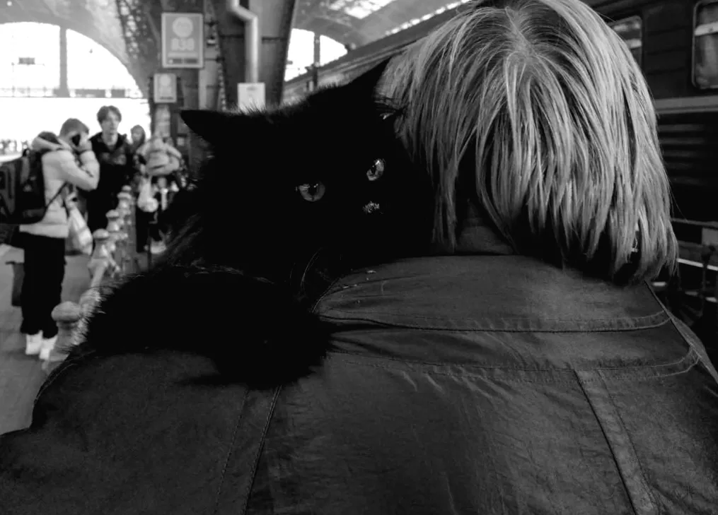 «Ніхто не готовий до смерті»: українці масово тікають від наступу РФ на Запоріжжі, - Reuters