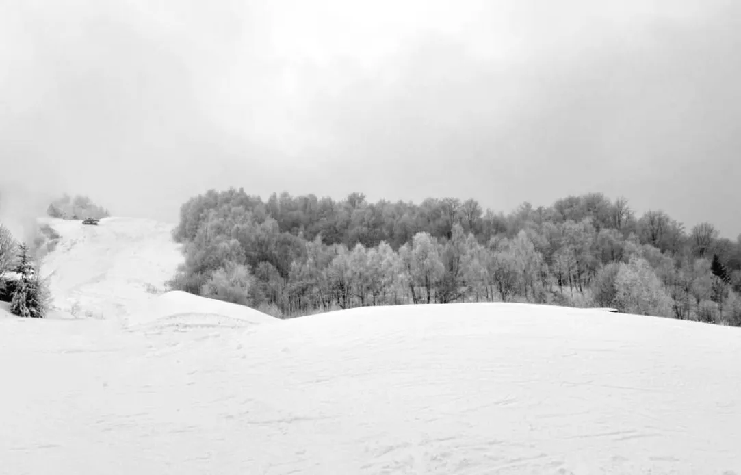 Сніголавини в Україні: туристам розкрили небезпечні маршрути, де варто бути особливо пильними