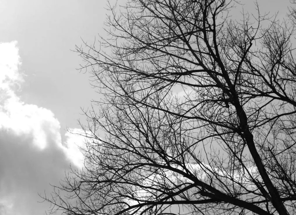 12 березня українців чекає несподіваний сплеск весняного тепла та сонячного світла