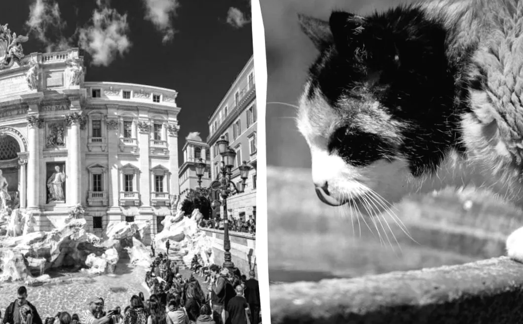 10 несподіваних причин уникнути літньої Європи цього року