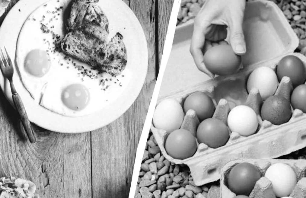 Жовток рідкий, білок ідеально твердий: секрети ідеальної сніданкової яєчні