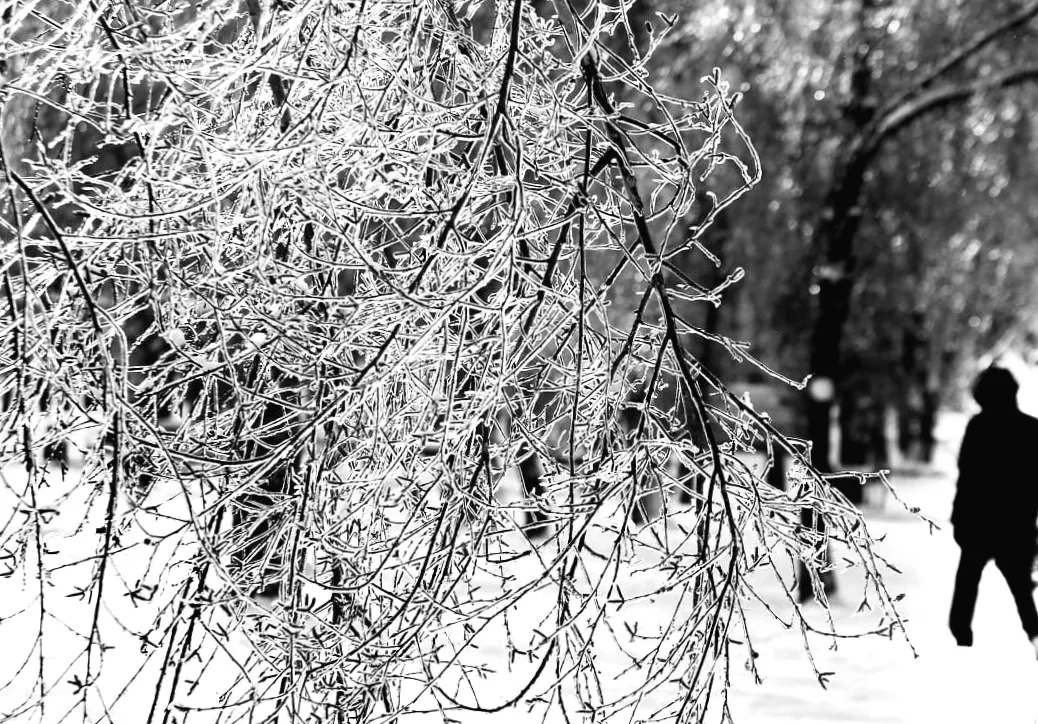 Синоптик: 20 січня в Україні очікується морозний день