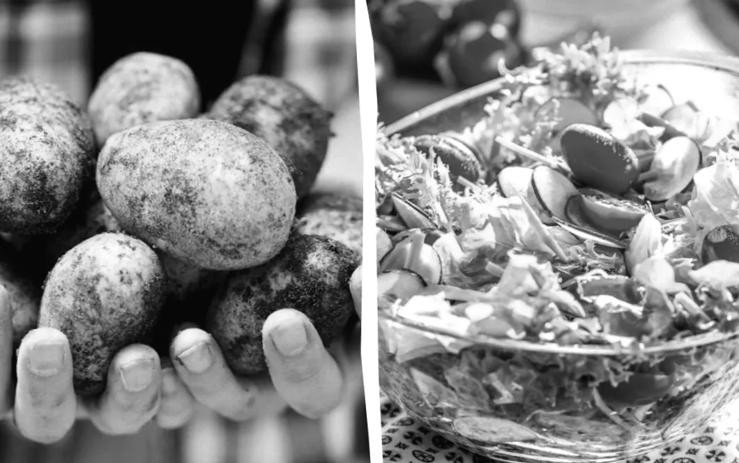 Не підходить для морозилки: перелік 10 продуктів, які краще не зберігати там