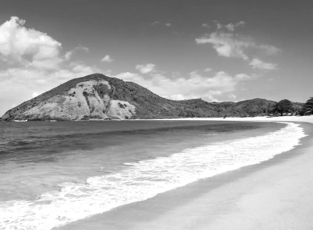 Давнє наскальне зображення в Індонезії кидає виклик усталеним науковим уявленням