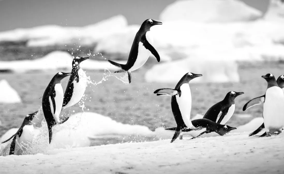 Київ зустрів найхолоднішу зиму за 15 років: що це означає для міста?