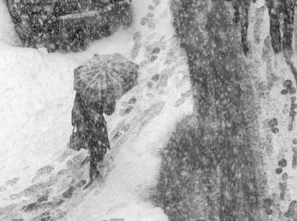 Морози в Україні можуть тривати до середини лютого: синоптикиня розкрила важливу деталь