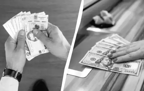 Що чекає на курс долара в Україні після рішень Євросоюзу та МВФ: прогнози експертів