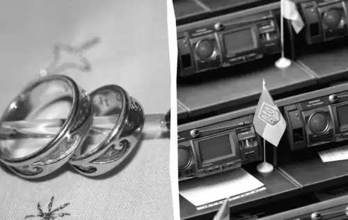 Одностатеві шлюби в Україні: у Раді натякнули на долю спірної норми в Цивільному кодексі