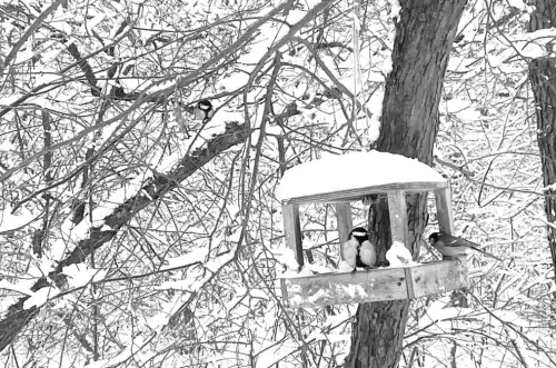 19 лютого в Україні буде менше опадів, але холод залишиться