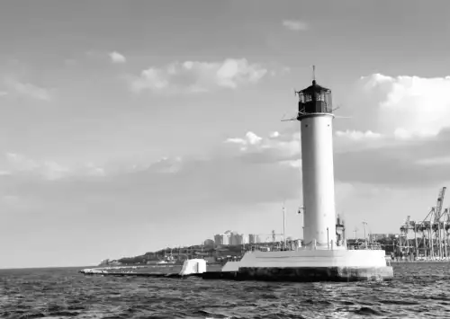 Після російської атаки на порт: науковець попередив про небезпеку олії, що пливе Чорним морем