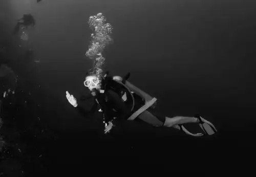 Дайвери біля Японії знайшли невідомих істот з дивними щупальцями