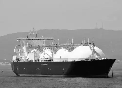 Європа суттєво наростила постачання російського зрідженого газу: що стоїть за цим рішенням?