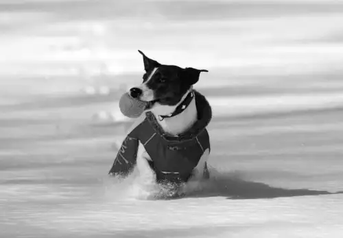 Антициклон Felix наближається: що чекати від погоди в Україні за прогнозом Діденко?