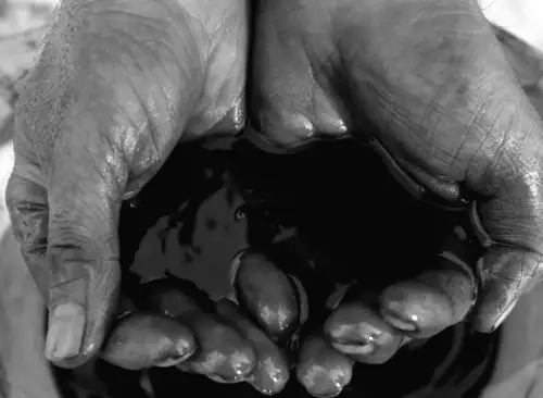 Китай б’є рекорди імпорту російської нафти: чи допоможе це Кремлю залишитись на плаву?