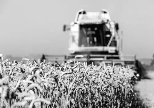 Аграрний експорт України у 2025 році: нові тенденції та несподівані зміни