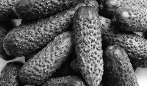 Огірки в Україні подорожчали на 50%: скільки вони коштуватимуть далі?