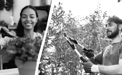 Не всі витримають: які рослини можуть постраждати від зимової обрізки