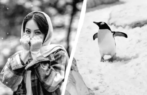 В Україні 15 лютого: незвичайна традиція, яку не варто пропускати